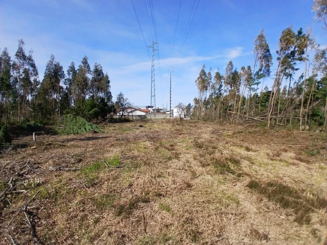 Terreno para Venda em Marinha Grande Foto 5