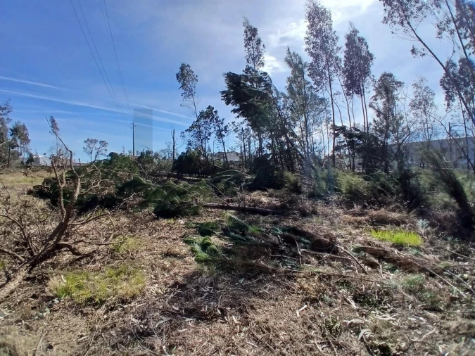Terreno para Venda em Marinha Grande Foto 6