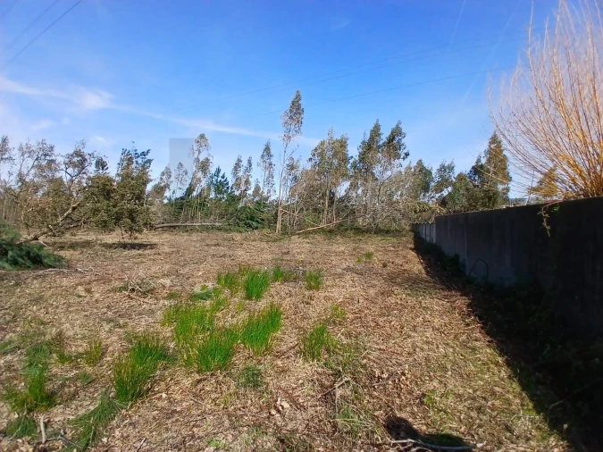 Terreno para Venda em Marinha Grande Foto 8