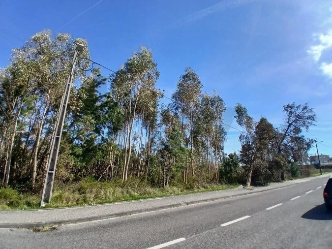 Terreno para Venda em Marinha Grande Foto 11