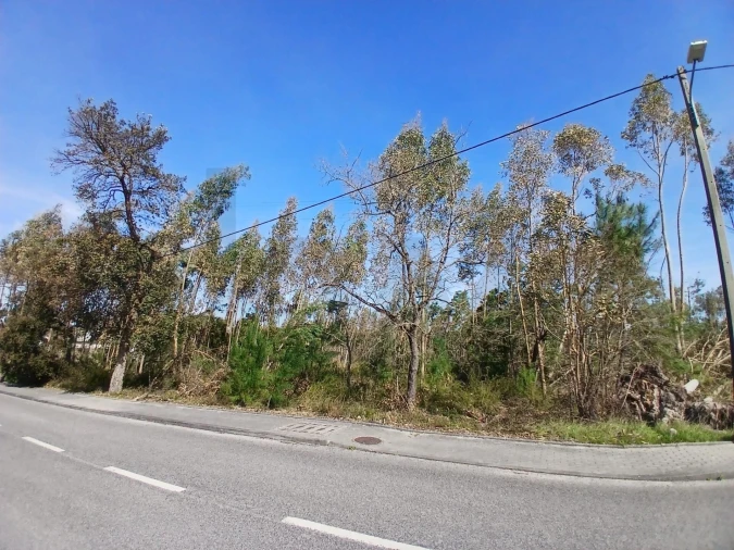 Terreno para Venda em Marinha Grande Foto 14