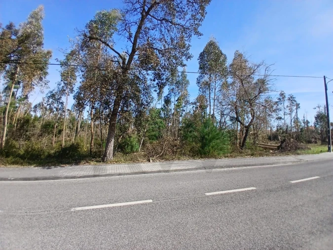 Terreno para Venda em Marinha Grande Foto 12