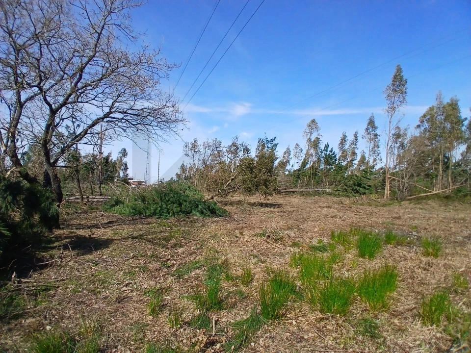 Terreno para Venda em Marinha Grande Foto 9