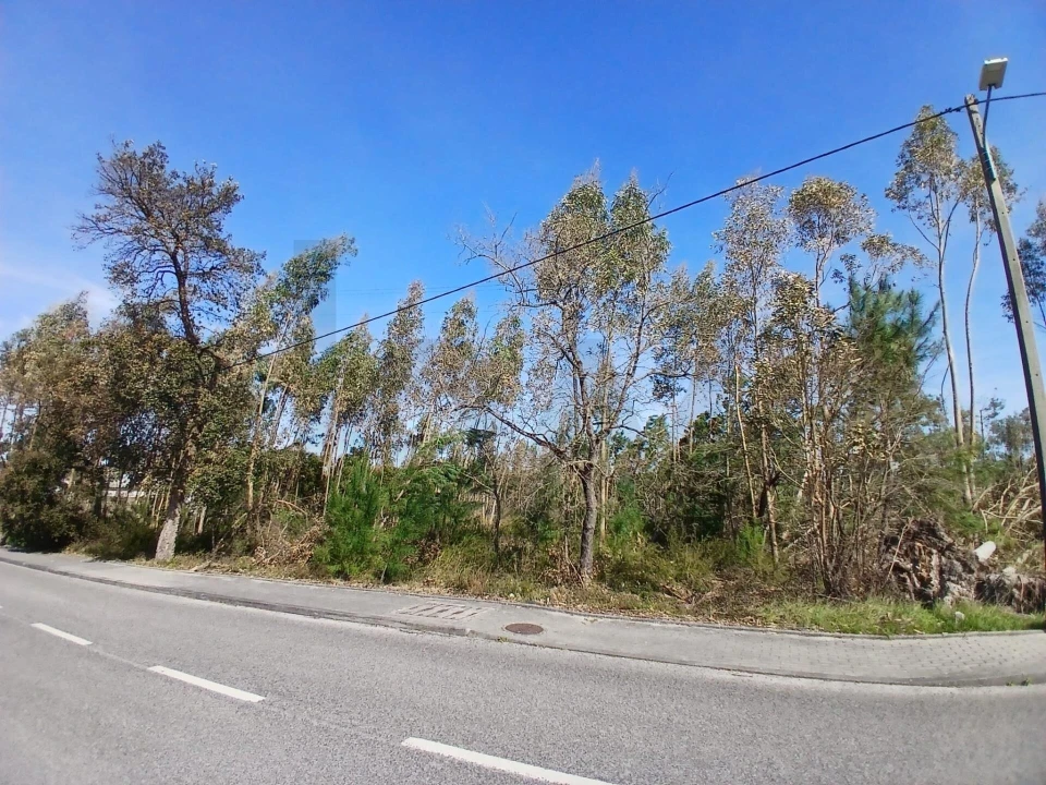 Terreno para Venda em Marinha Grande Foto 14