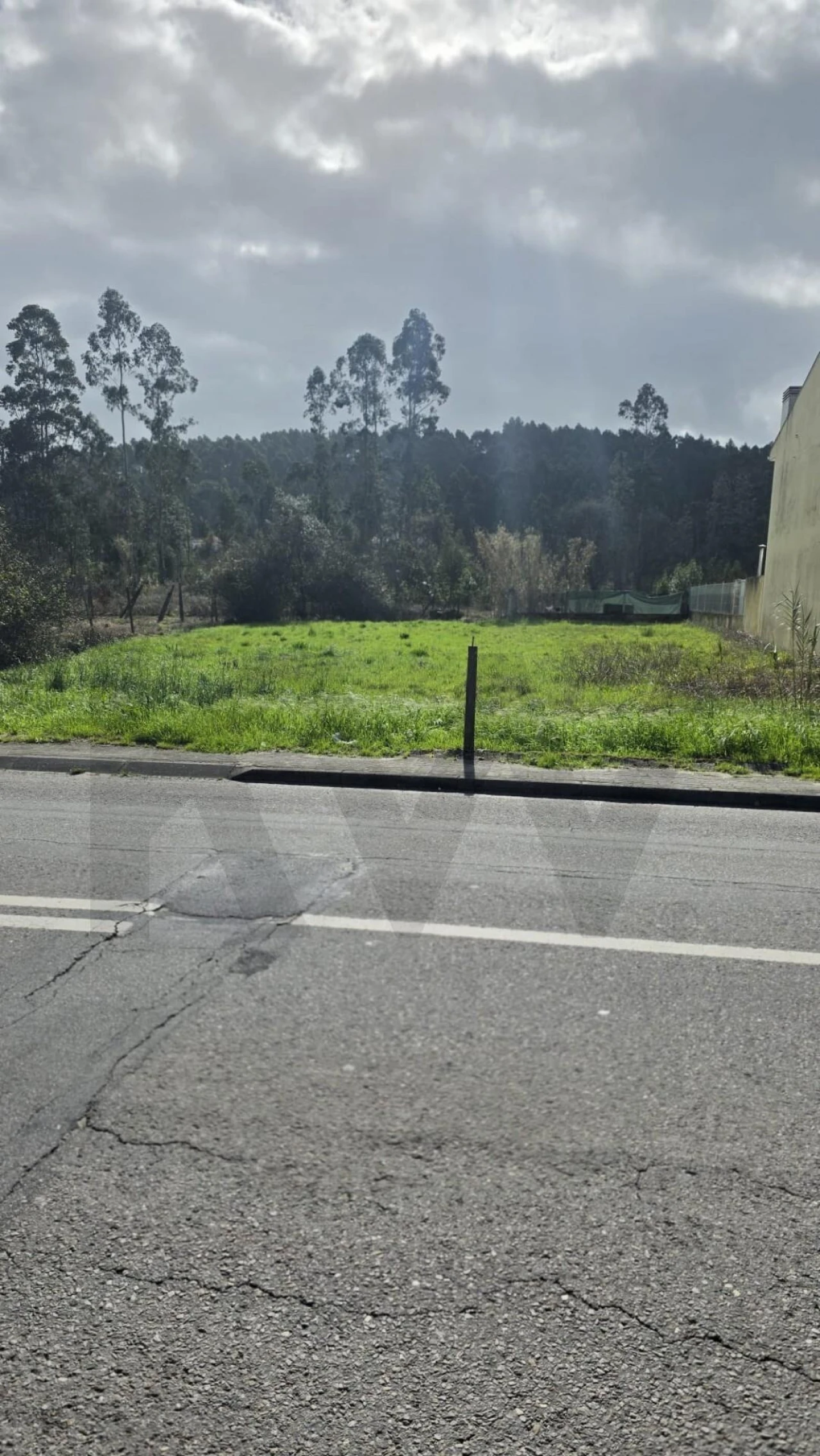 Terreno para Venda em Oliveira do Bairro Foto 1