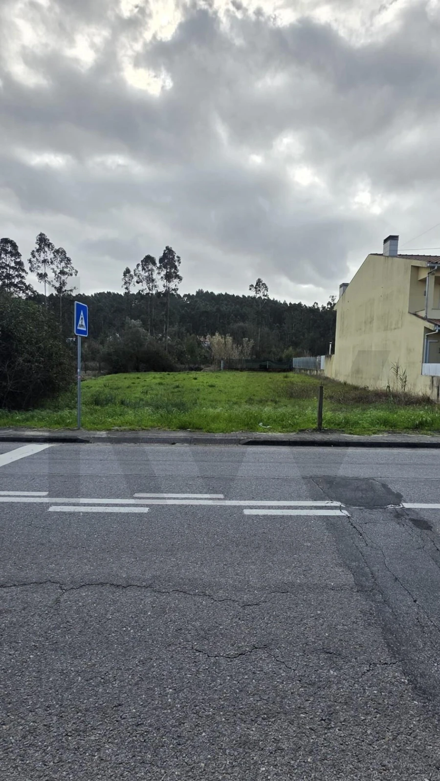 Terreno para Venda em Oliveira do Bairro Foto 8