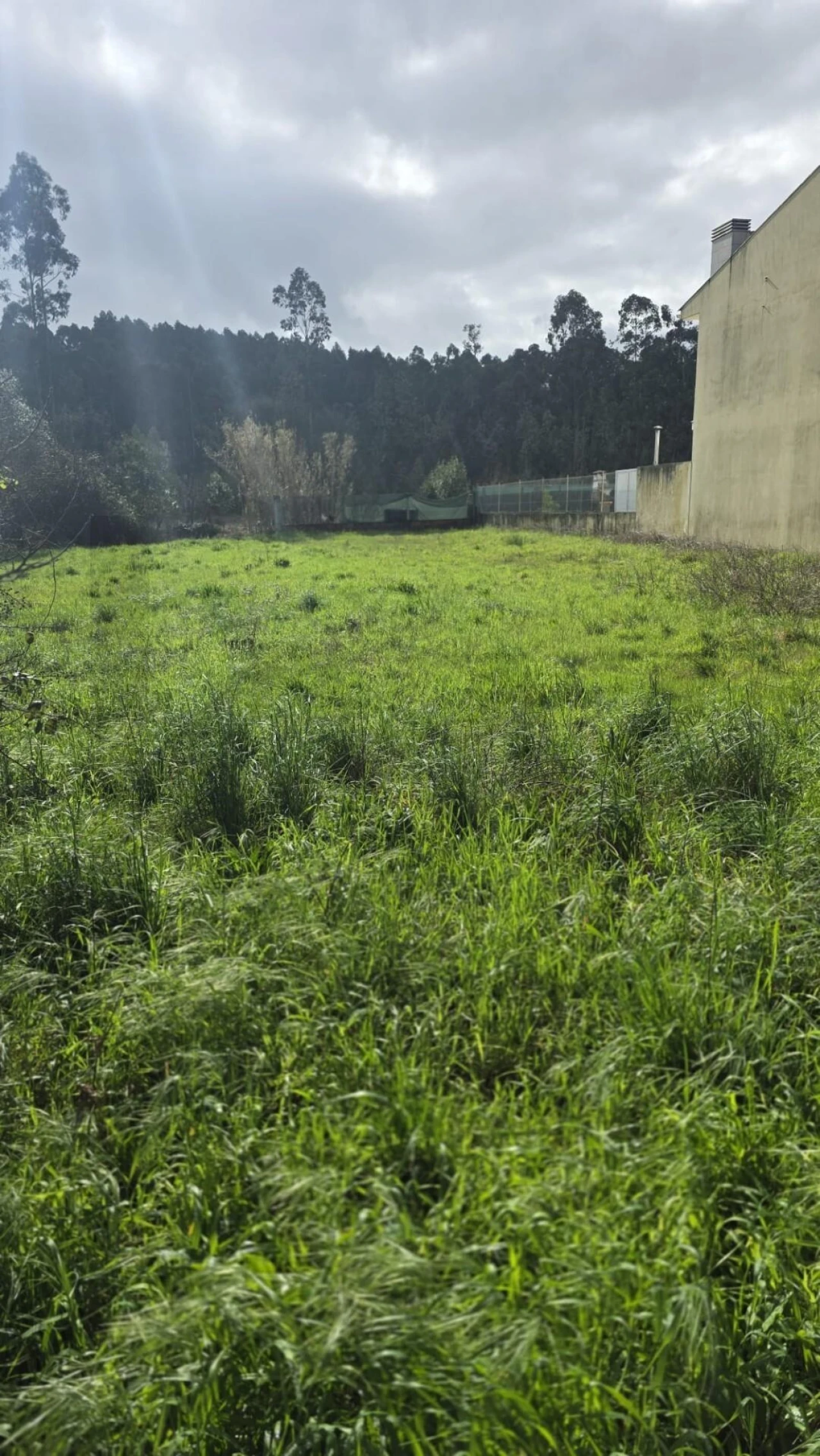 Terreno para Venda em Oliveira do Bairro Foto 4