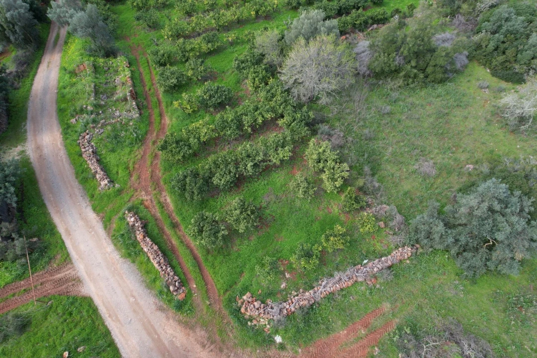 Terreno para Venda em São Bartolomeu de Messines Foto 5