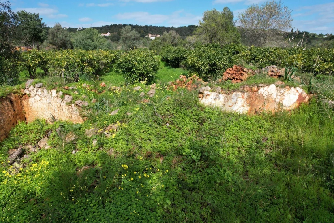 Terreno para Venda em São Bartolomeu de Messines Foto 16