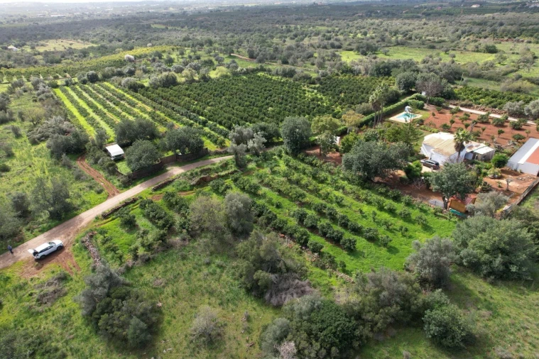 Terreno para Venda em São Bartolomeu de Messines Foto 8