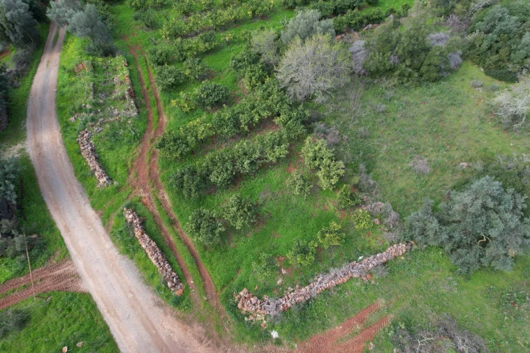 Terreno para Venda em São Bartolomeu de Messines Foto 5