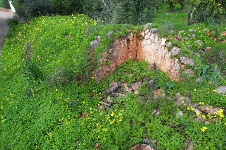 Terreno para Venda em São Bartolomeu de Messines Foto 18