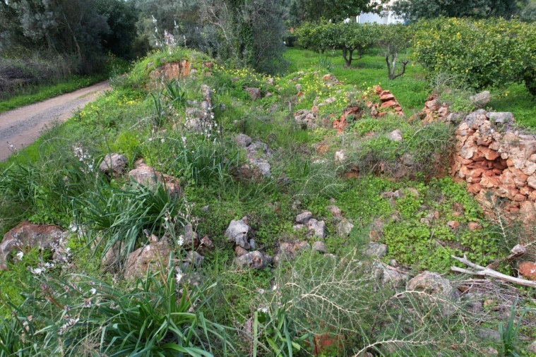 Terreno para Venda em São Bartolomeu de Messines Foto 14