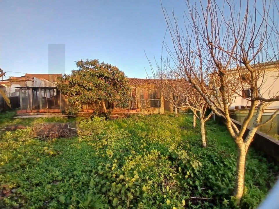 Moradia T2 para Venda em Alvorninha Foto 18