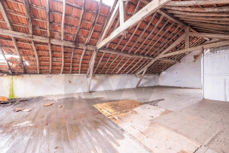 Prédio para Venda em Eiras e São Paulo de Frades Foto 34