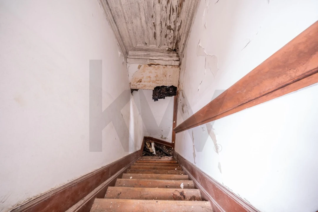 Prédio para Venda em Eiras e São Paulo de Frades Foto 15