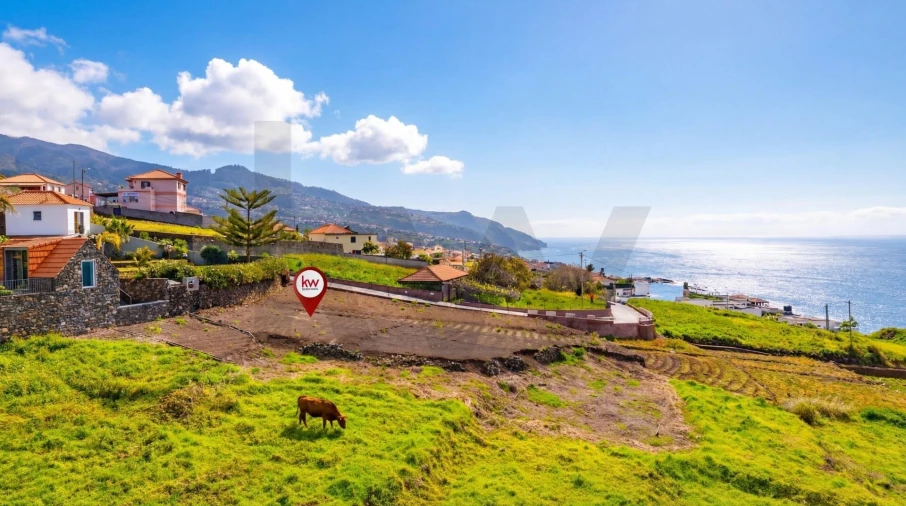 Terreno para Venda em Estreito da Calheta Foto 9