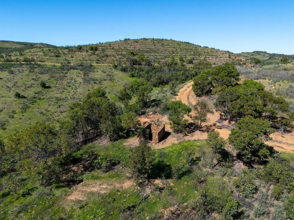 Terreno para Venda em Conceição e Cabanas de Tavira Foto 9