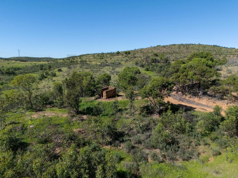 Terreno para Venda em Conceição e Cabanas de Tavira Foto 5