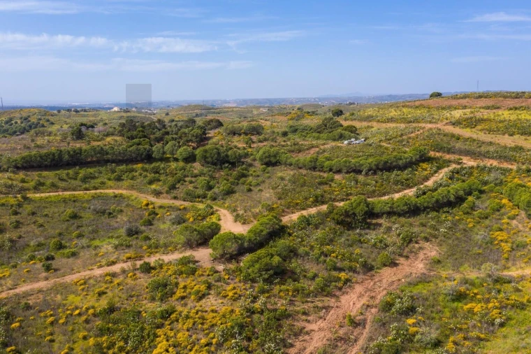 Terreno para Venda em Conceição e Cabanas de Tavira Foto 6