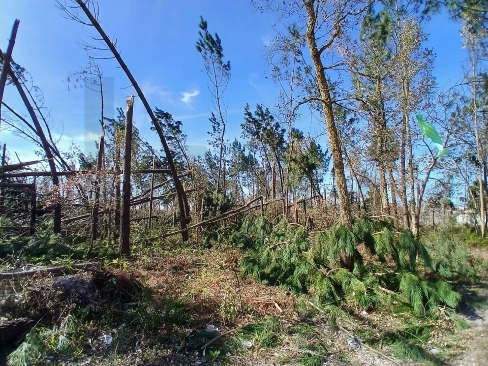 Terreno para Venda em Marinha Grande Foto 22