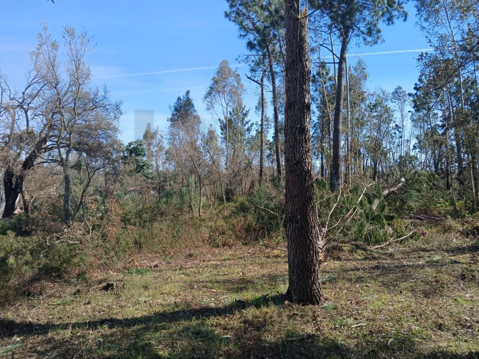 Terreno para Venda em Marinha Grande Foto 20