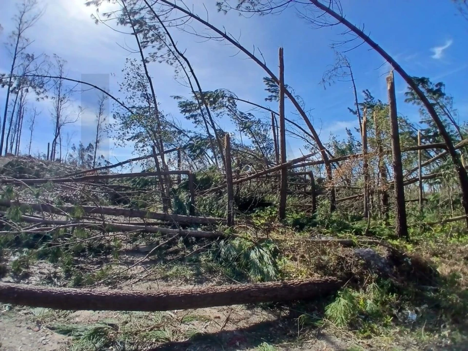 Terreno para Venda em Marinha Grande Foto 23