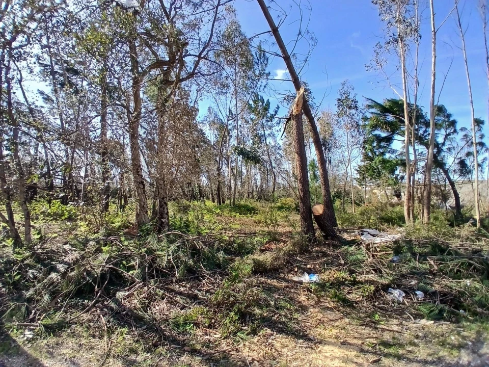 Terreno para Venda em Marinha Grande Foto 19