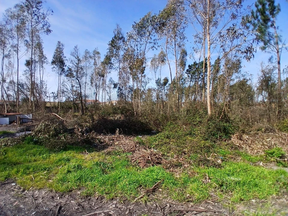 Terreno para Venda em Marinha Grande Foto 1