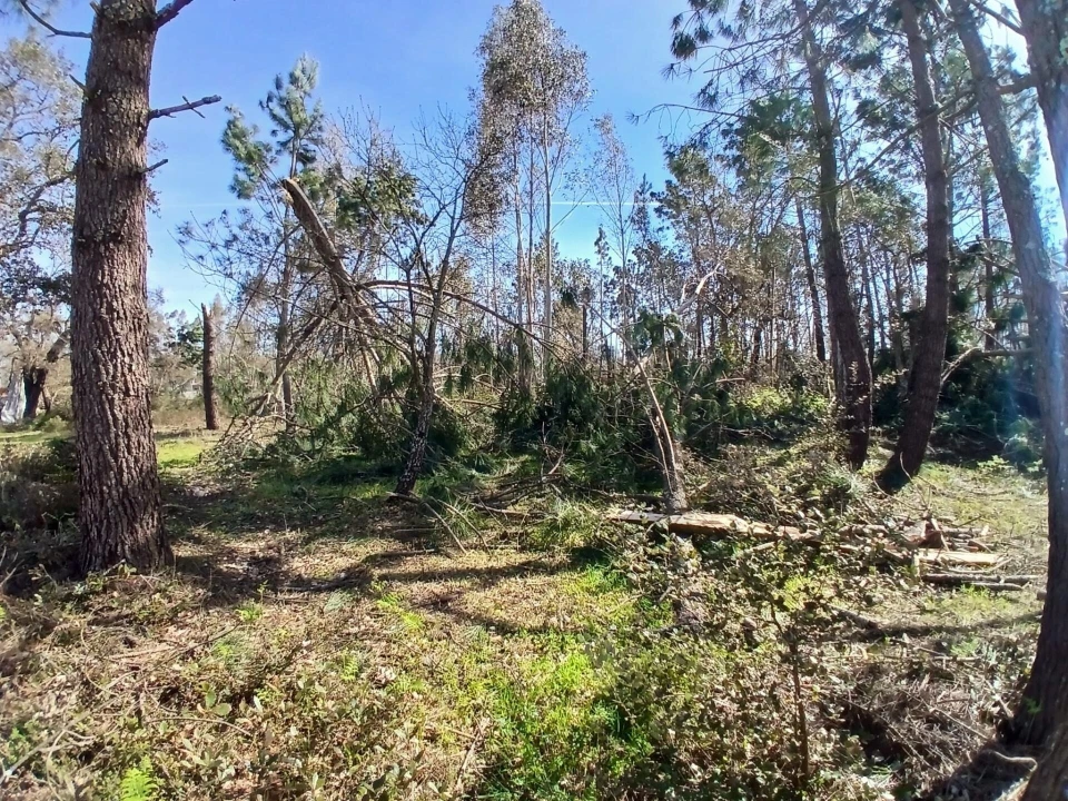 Terreno para Venda em Marinha Grande Foto 8