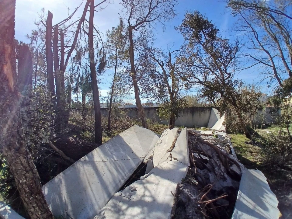 Terreno para Venda em Marinha Grande Foto 10