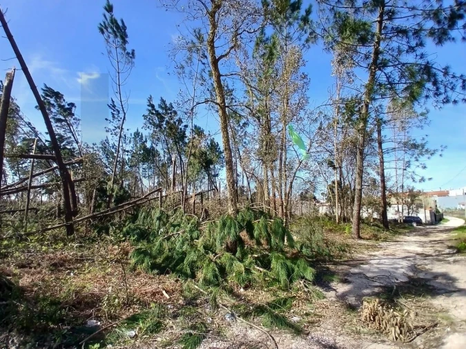 Terreno para Venda em Marinha Grande Foto 24