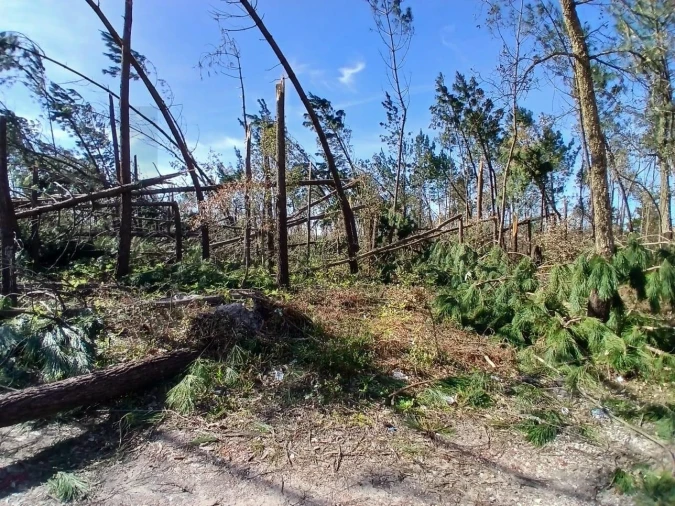 Terreno para Venda em Marinha Grande Foto 26