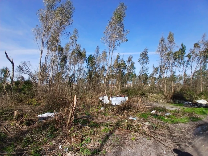 Terreno para Venda em Marinha Grande Foto 4