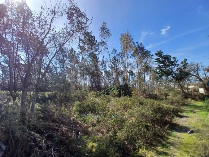 Terreno para Venda em Marinha Grande Foto 17