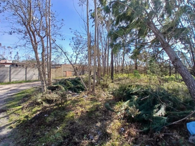 Terreno para Venda em Marinha Grande Foto 16