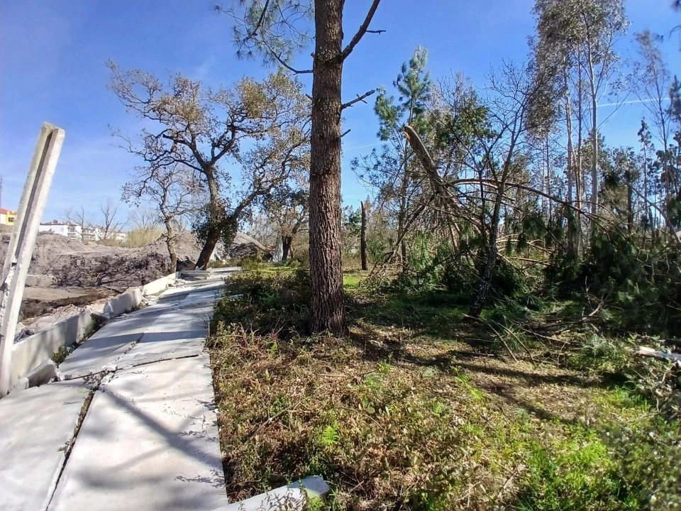 Terreno para Venda em Marinha Grande Foto 6