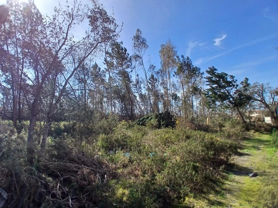 Terreno para Venda em Marinha Grande Foto 17