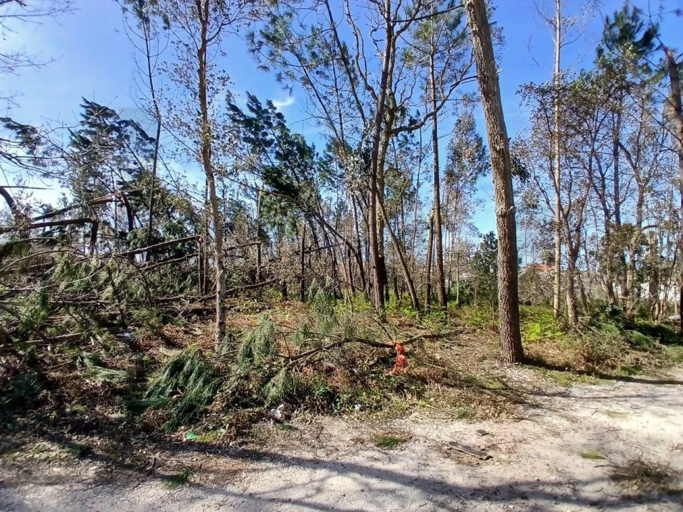 Terreno para Venda em Marinha Grande Foto 21