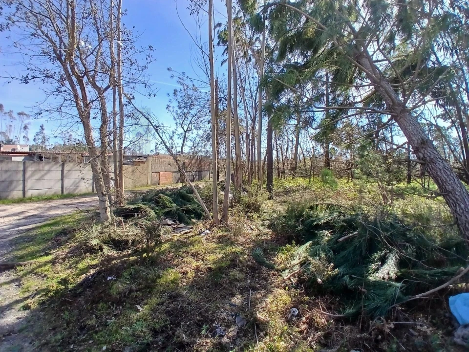 Terreno para Venda em Marinha Grande Foto 16
