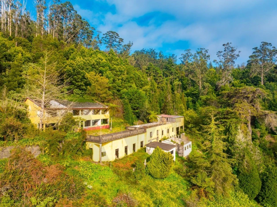 Quinta T5 para Venda em Funchal (Santa Maria Maior) Foto 4