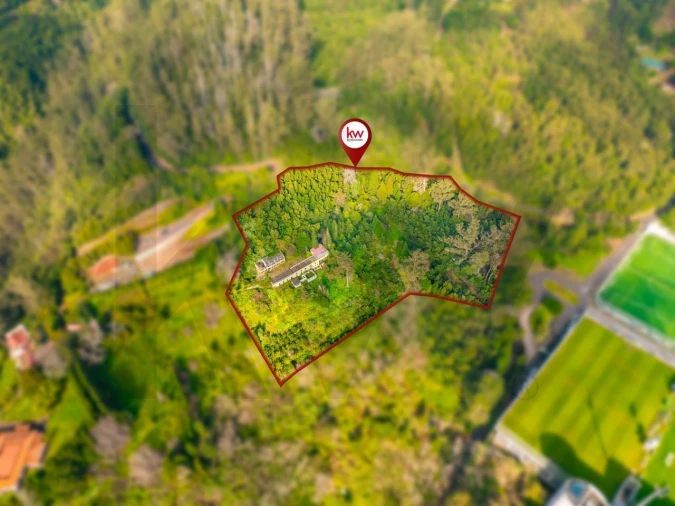 Quinta T5 para Venda em Funchal (Santa Maria Maior) Foto 31