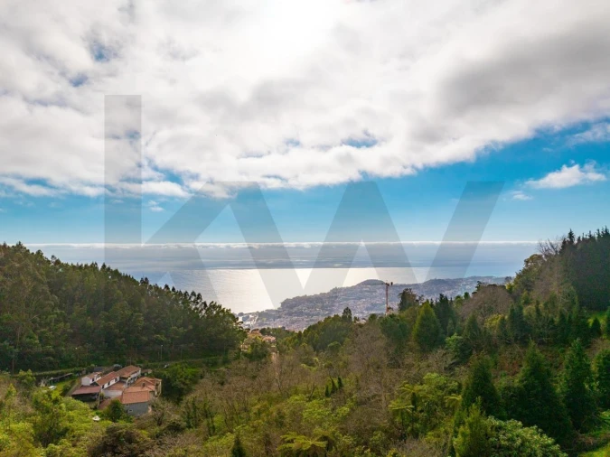 Quinta T5 para Venda em Funchal (Santa Maria Maior) Foto 1