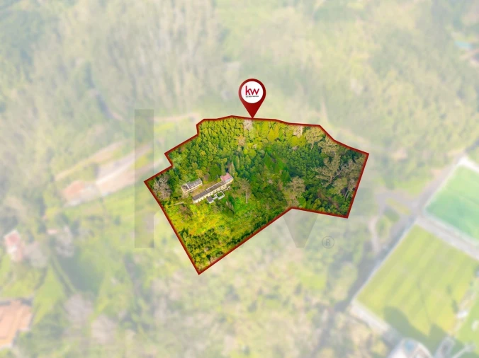 Quinta T5 para Venda em Funchal (Santa Maria Maior) Foto 2