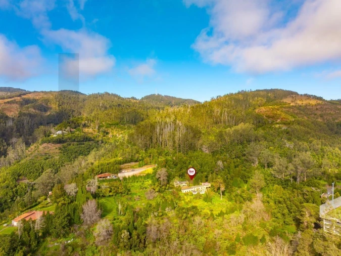 Quinta T5 para Venda em Funchal (Santa Maria Maior) Foto 15