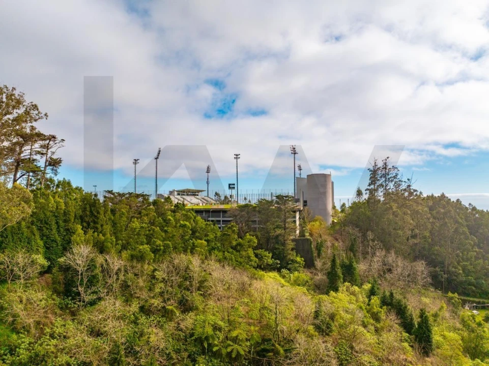 Quinta T5 para Venda em Funchal (Santa Maria Maior) Foto 22