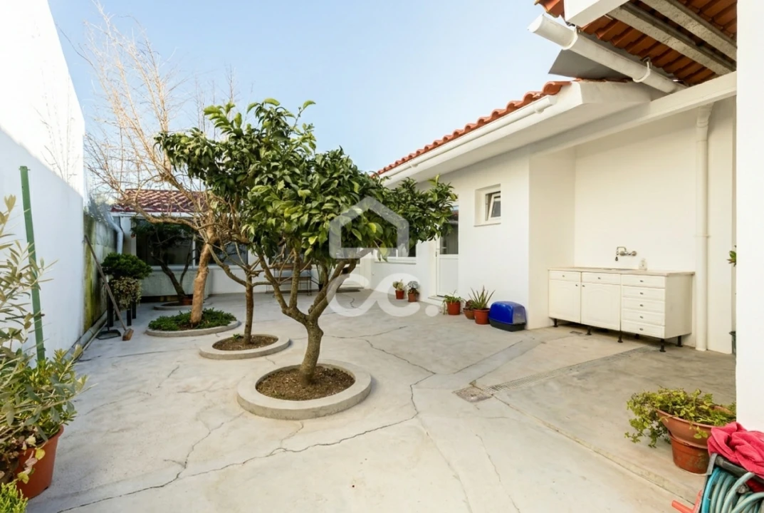 Moradia T3 para Venda em Reguengos de Monsaraz Foto 22