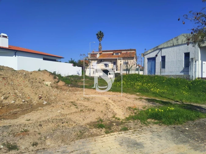 Terreno para Venda em Meia Via Foto 3