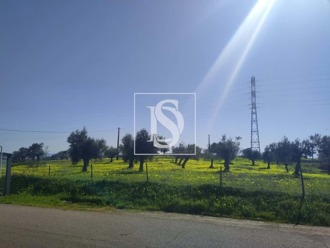 Terreno para Venda em Meia Via Foto 6