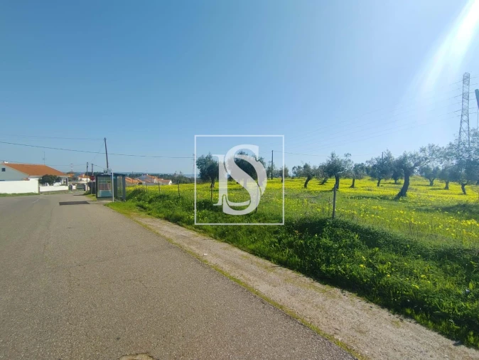 Terreno para Venda em Meia Via Foto 5